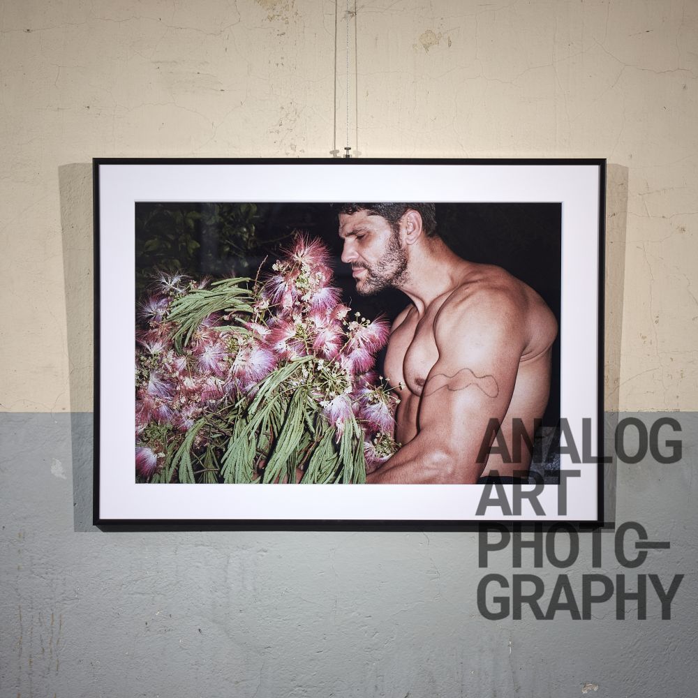 Mihai Barabancea Picture 15 from his book 