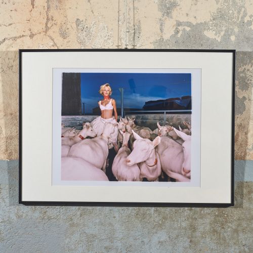 Modebild, Reiterhof, Seelitz 2000